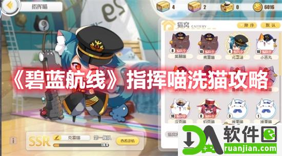 碧蓝航线手游指挥喵应该怎么洗喵?