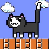 我家猫有残疾安卓版