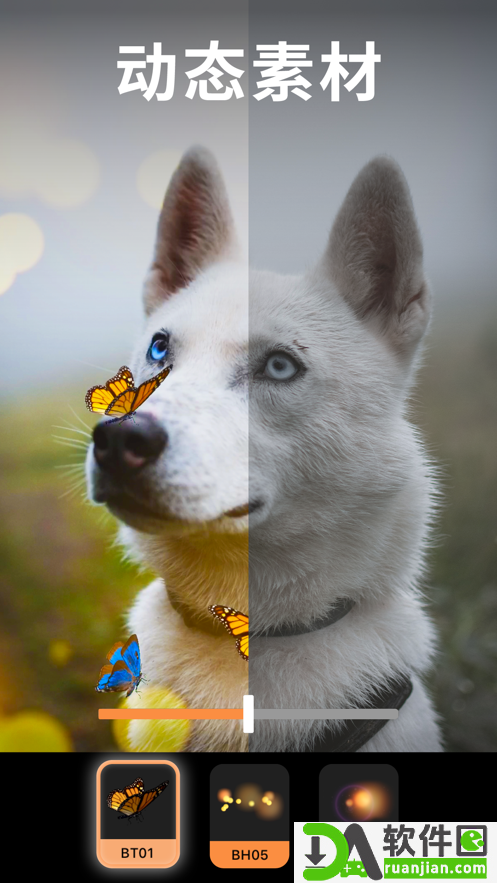 pixaloop软件专业版截图1