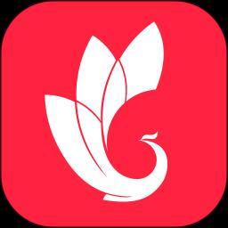 巅峰减重安卓版