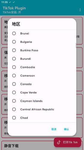 tiktok plugin插件(换区插件)中文版截图2