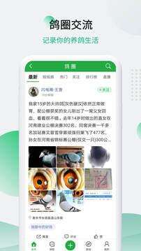 中国信鸽信息网app官方版截图2