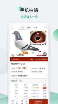 中国信鸽信息网app官方版截图1