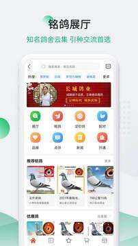 中国信鸽信息网app官方版截图1