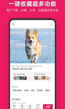 图片搜搜安卓版截图4