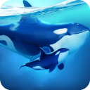 小小水世界(World of Water)最新版