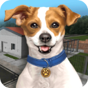 动物收容所手机版