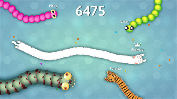 Snakeio最新版截图4