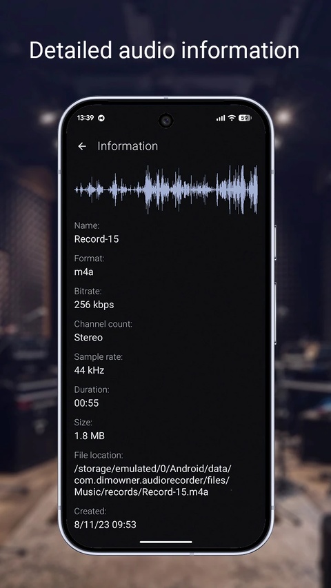 audio recorder安卓版截图5