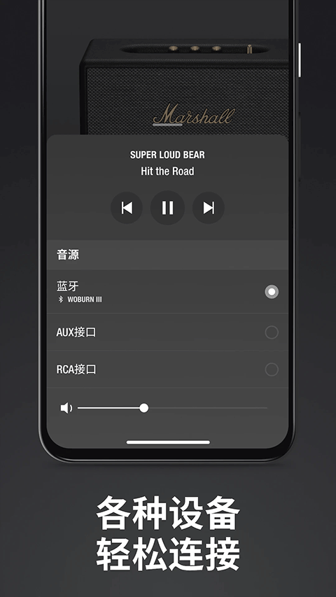 Marshall Bluetooth安卓版截图3